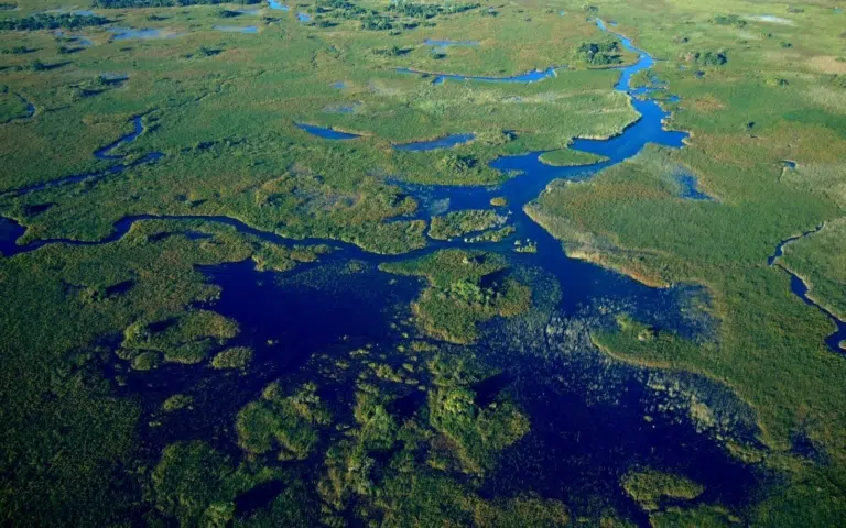 Boucle autour de l&rsquo;Okavango - Botswana > Namibie | Privatisé